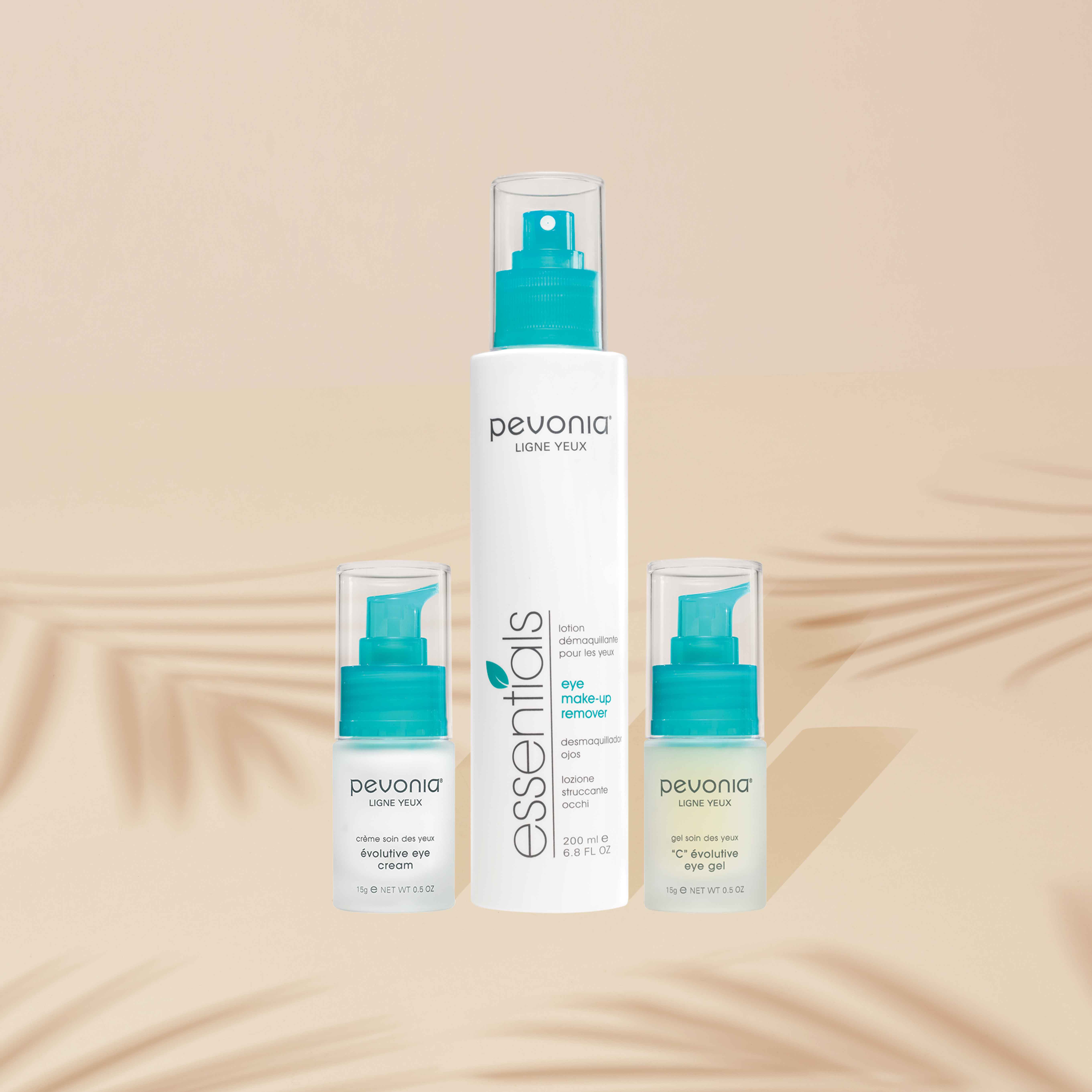 Pevonia's Eye Line surrounded by tropical leaf shadows.